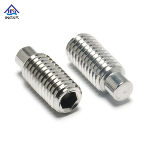 ສະແຕນເລດ 304 316 Hexagon Socket Dog Point Set Screw