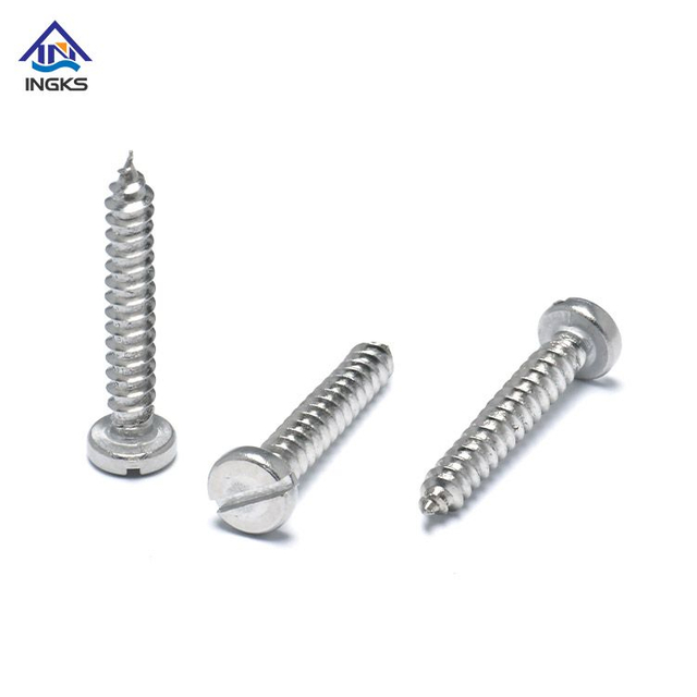 18-8 ដែកអ៊ីណុក 304 316 Slotted Pan Head Tapping Screw