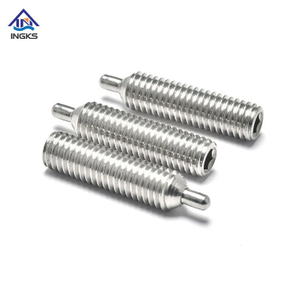 Stainless Steel Hex Socket Spring Ball Point Screw Plunger